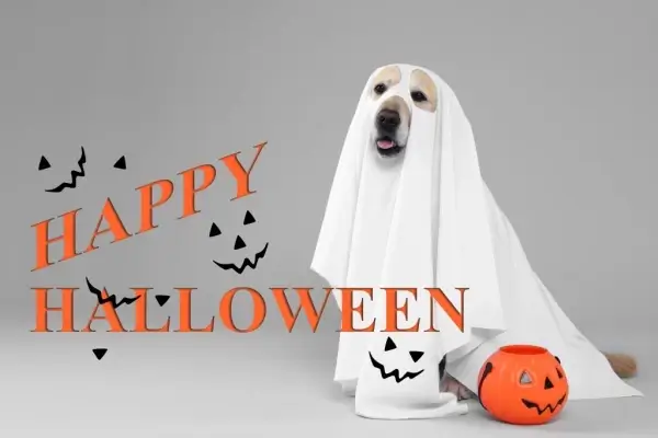 Happy Halloween from Northwest Mortgage Advisors